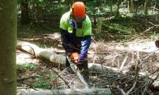 Felling-Licence Applications